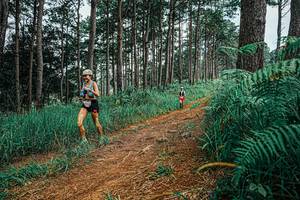 BIB: 
                            <button type="button" onclick="openModal(25689949)" class="btn btn-primary btn-sm float-right btn-popup" data-toggle="modal" data-target=".modal-high-quality">
                        <i class="fas fa-shopping-cart"></i> Add to Cart
                    </button>
                                            <button type="button" onclick="isThisMe(25689949, true)" class="btn btn-success btn-sm float-right btn-popup btn-isme hidden" data-toggle="tooltip" data-placement="bottom" title="นี่คือรูปของคุณใช่ไหม คลิกที่นี่เพื่อเอาเข้าอัลบั้ม">
                        <i class="fas fa-plus"></i> Add to album
                    </button>
                    <button type="button" onclick="isThisMe(25689949, false)" class="btn btn-warning btn-sm float-right btn-popup btn-isnotme hidden">
                        <i class="fas fa-ban"></i> Remove from album
                    </button>